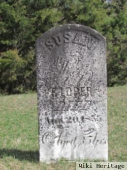 Susan Barnes Loper