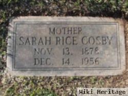 Sarah Elizabeth "sallie, Gansie" Rice Cosby