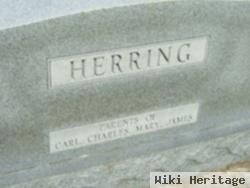 Mary Marie Daugherty Herring