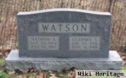 Nathan A Watson