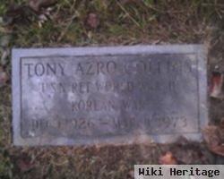 Tony Azro Collins