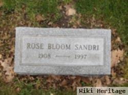 Rose Caroline Bloom Sandri