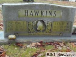 Leslie W. Hawkins