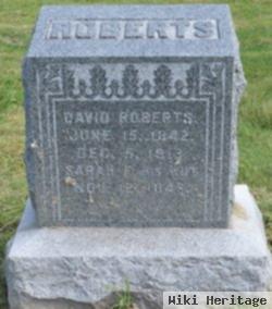 David Roberts