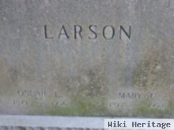 Mary C Larson