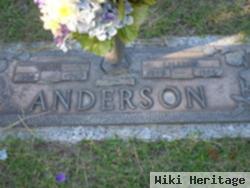 Paul Anderson