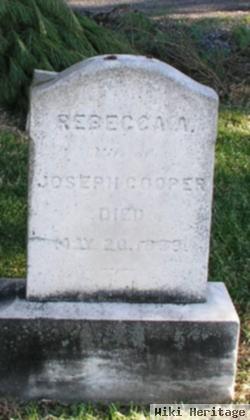 Rebecca Ann Hoffman Cooper