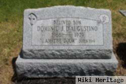 Dominic J D'augustino