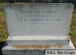 Ellen Higgins Hawkes