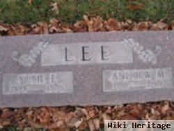 Andrew M Lee