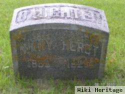 Mary Herdt