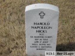 Sgt Harold Napoleon Hicks