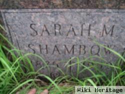 Sarah M Fairbanks Shambow