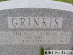 Simon G Grinkis