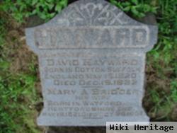 David Hayward