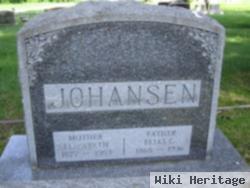 Elias G. Johansen