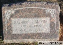 Raymond J Martin