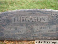 Alex L. Furgason