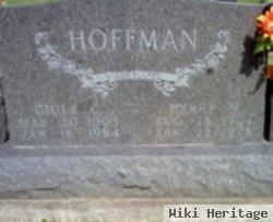 Harry M Hoffman