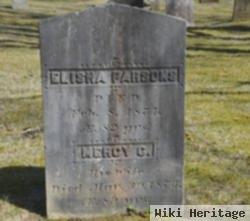 Elisha Parsons