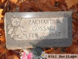 Zachary W Gossage