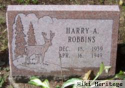 Harry A Robbins