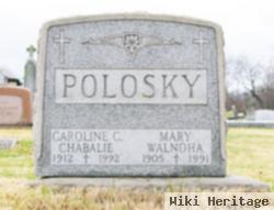 Mary Walnoha Polosky