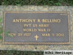 Anthony R Bellino