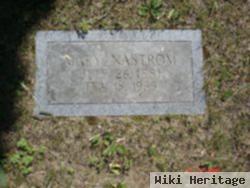 Mary Gaede Nastrom