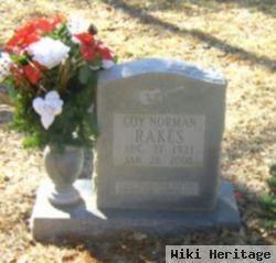 Coy Norman Rakes