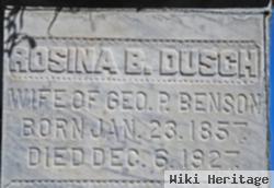 Rosina B. Dusch Benson