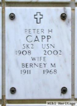 Peter H Capp