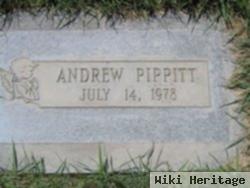 Andrew Pippitt