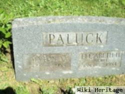 Elizabeth Haddick Paluck