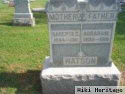 Sarepta Catherine Rutledge Watson