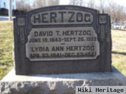 David Trolliger Hertzog