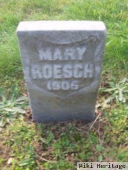 Mary Roesch