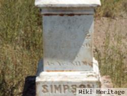 Amos Palmer Simpson