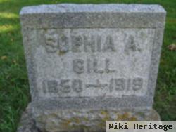 Sophia A Gill