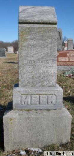 Ida Avis Meek