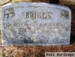 George Edgar Briggs, Sr