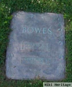 David A Bowes