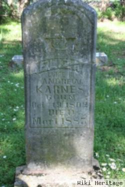 Eliza Howry Karnes