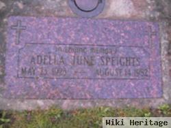 Adella June Elvebak Speights