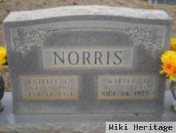 Walter T Norris