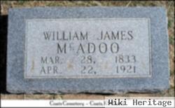 William James Mcadoo