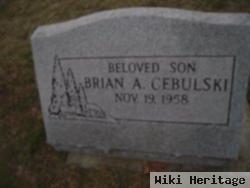 Brian A Cebulski