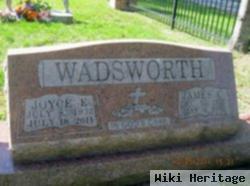 Joyce E Wadsworth