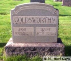 James Goldsworthy