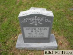 Joseph Skean Hicks